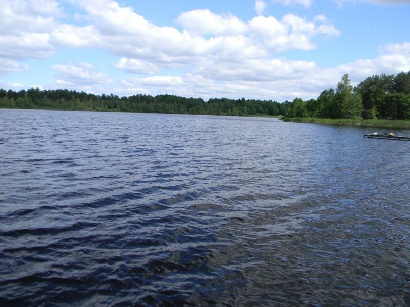 Гідрологічний заказник Вижевскій