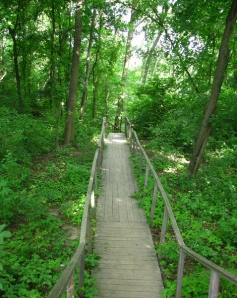  Свято-Онуфріївський джерело, Мельники 