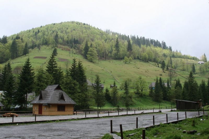 Урочище «Красный», Синевирская Поляна 