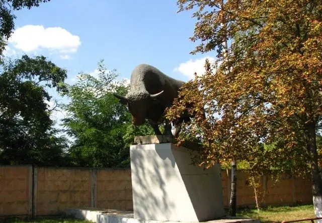 Памятник быку, Черкассы