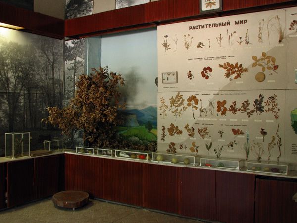 Историко-краеведческий музей, Белогорье