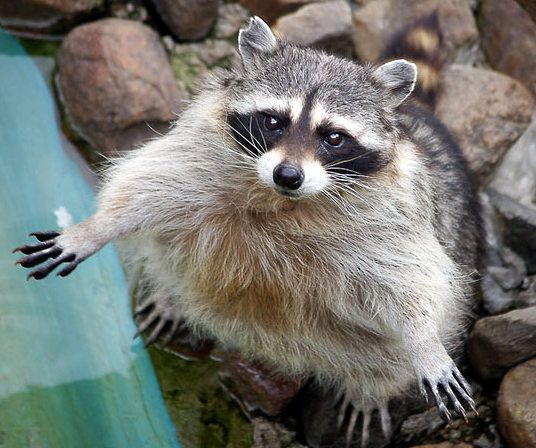  Zoo on the territory of Donetsk Metallurgical Plant 