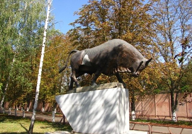 Памятник быку, Черкассы