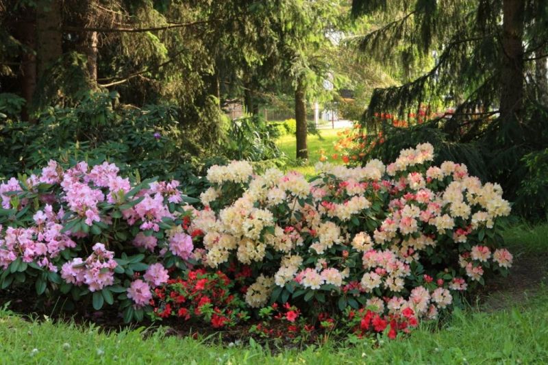 Ботанический сад Харьковского национального университета