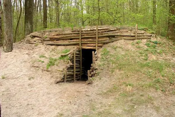 Спадщанский лес