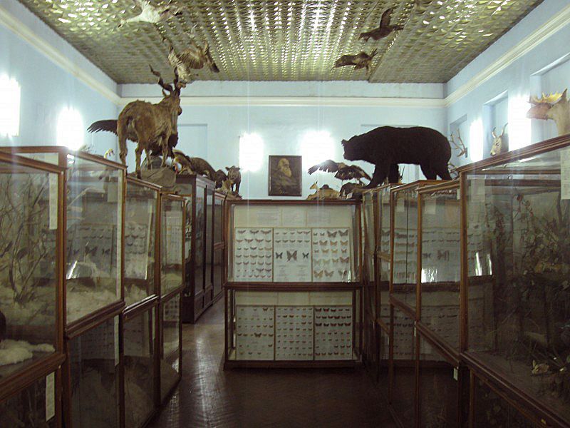 Zoological Museum of DNU named Oles Honchar