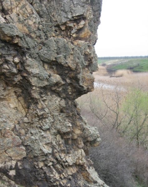 Скала Ослиные Уши, Радивоновка