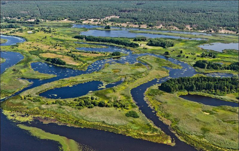 Затопленная церковь, Ржищев