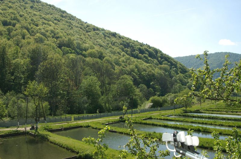 Trout farm Zhdimir, Volchy