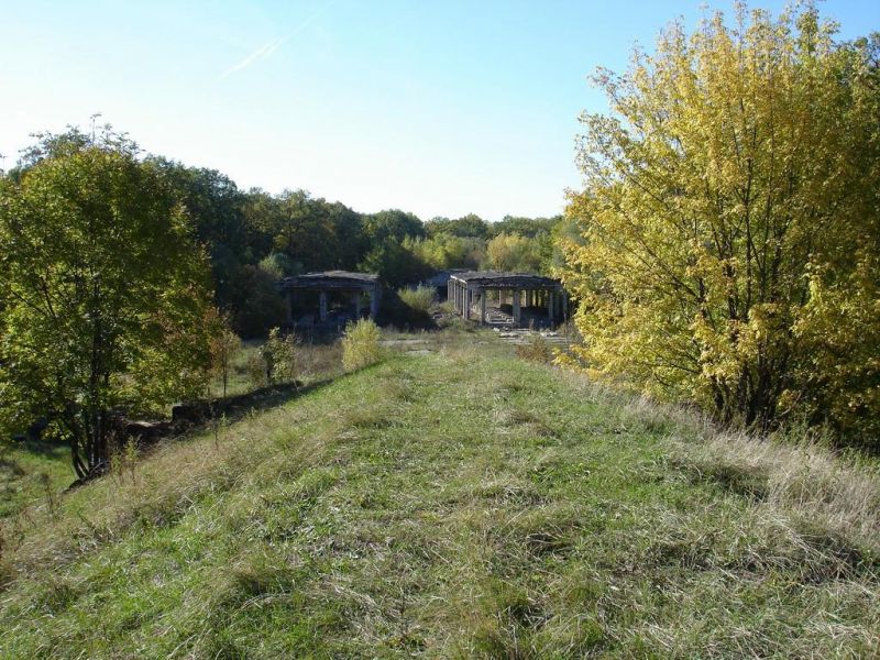 Mohnachansky Forest