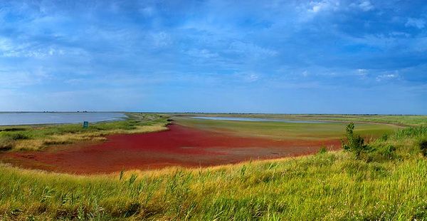  Azov-Sivash National Nature Park 