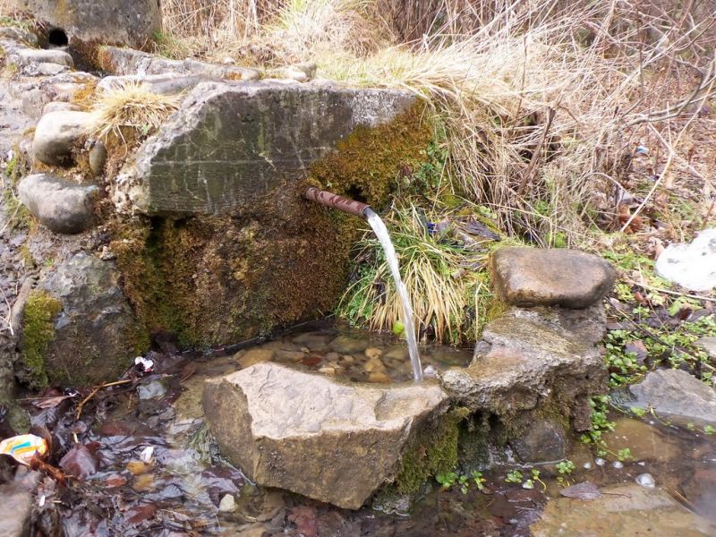  Mineral Spring, Shevchenko 