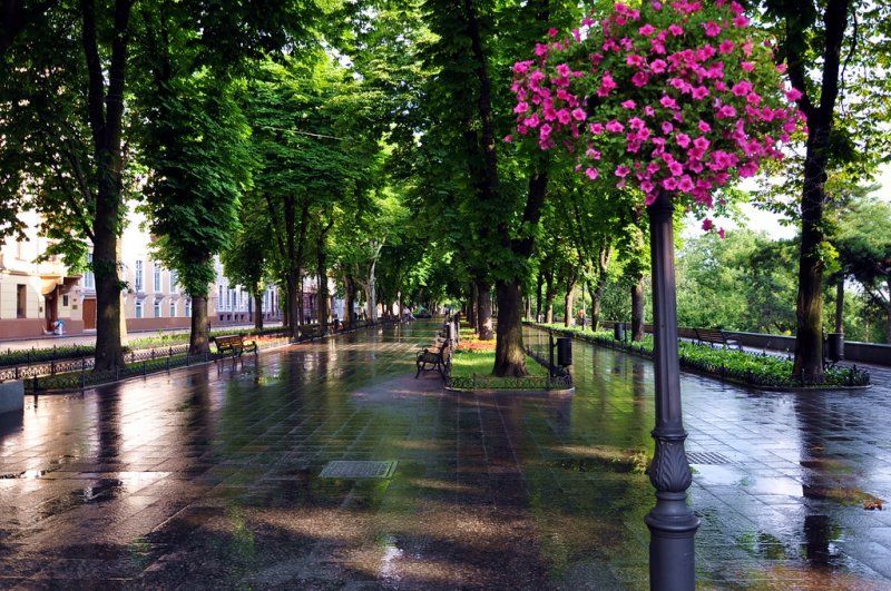 Primorsky Boulevard, Odessa