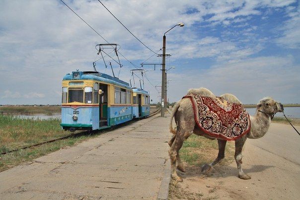 Rural tram in Molochny