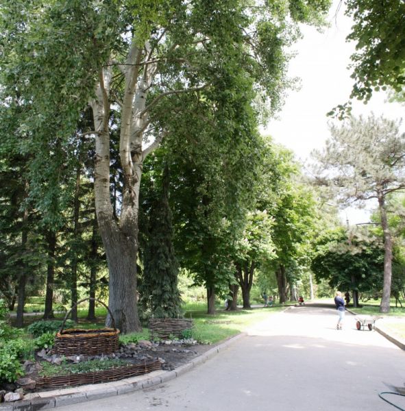  Ivan Asmolov's Park 