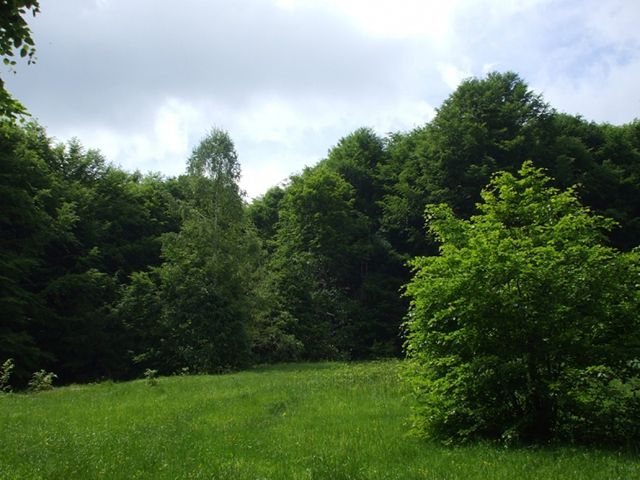 Заказник« Зачарована долина »