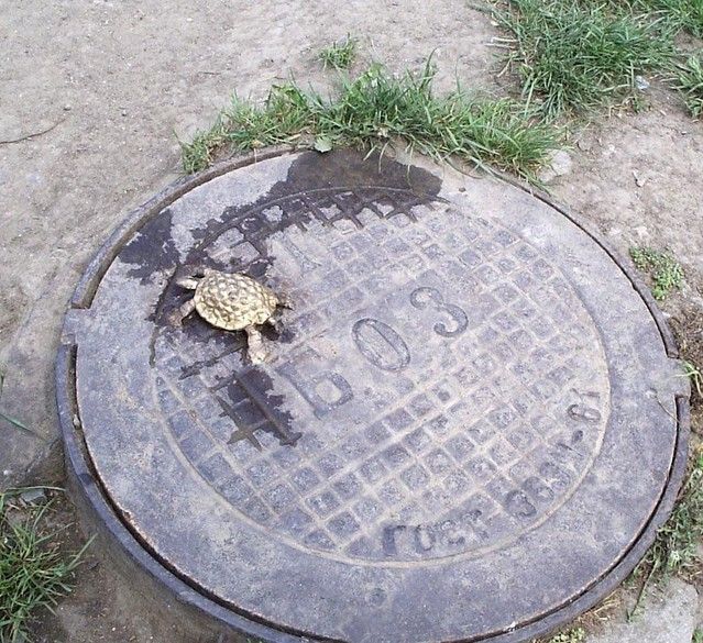 Turtle Monument, Odessa