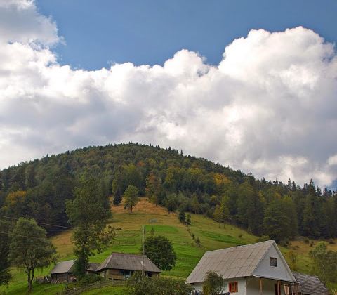 Урочище «Красный», Синевирская Поляна 