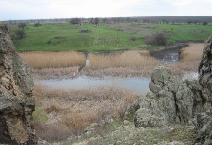 Скала Ослячі Вуха, Радивонівка