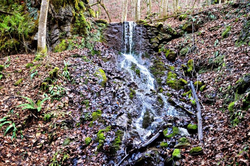 Waterfall. Ecotourism route On Falconry Bird