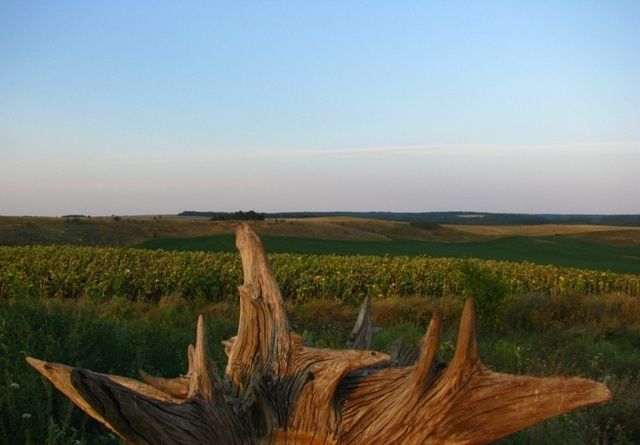 Курган скифских времен, Великая Яблоновка