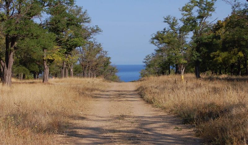 Uchkuevka Park