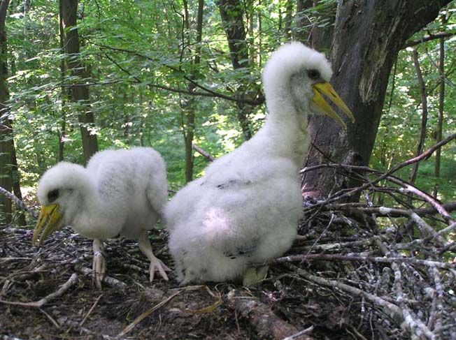 Galitsky National Nature Park