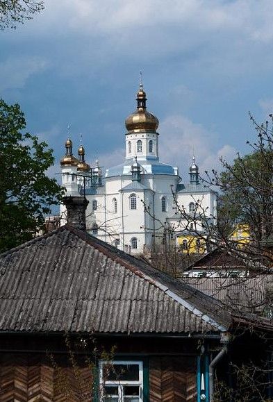 Cathedral of the Nativity of Christ (Olginskaya Church)