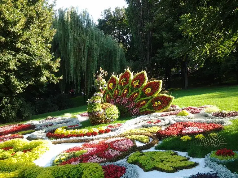Певчее поле (Певческое поле)
