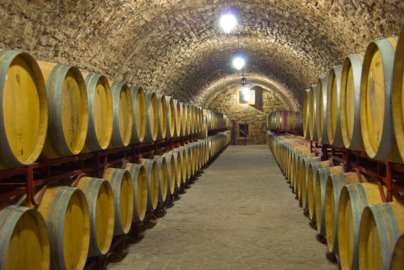  The wine-making farm of Prince Trubetskoi 