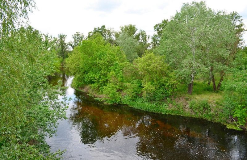 Обухівський (Кіровський) ліс, Кіровське