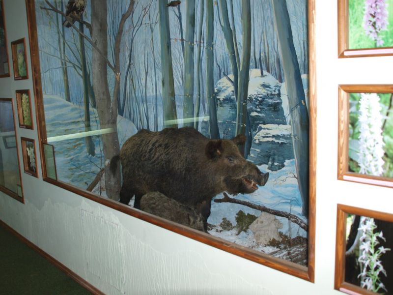 Музей Природа Земли Галицкой
