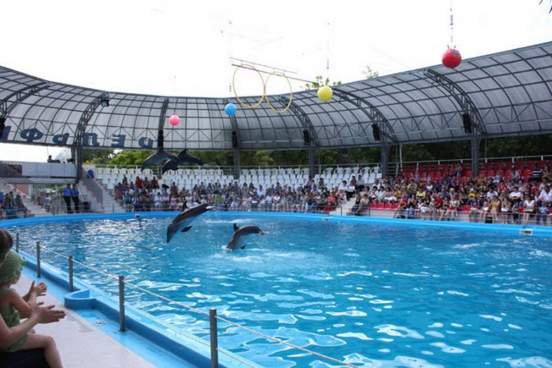  Nemo Dolphinarium, Odessa 