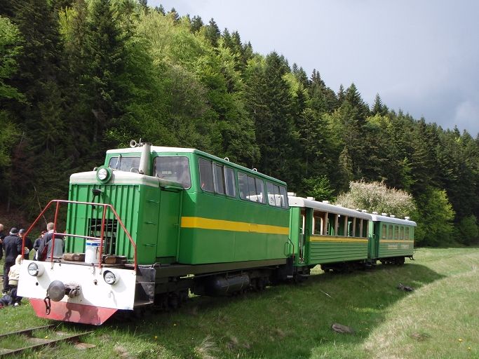 Narrow-gauge railroad