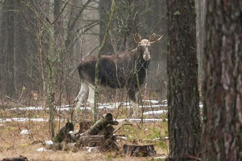 Межреченский региональный ландшафтный парк