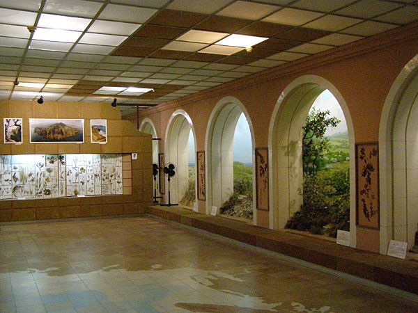 Музей старожитностей, Феодосія