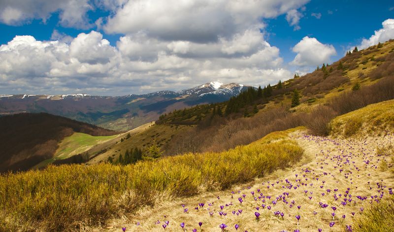 The Carpathian Biosphere Reserve