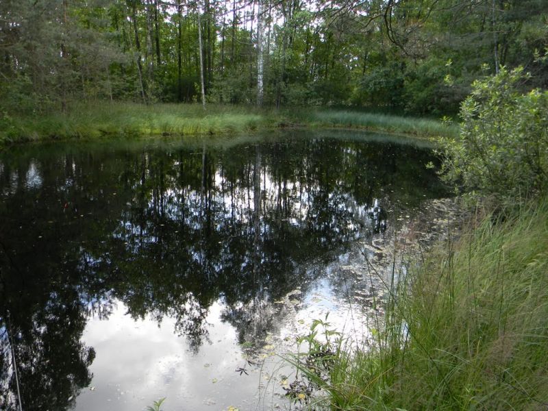  Гідрологічний заказник Вижевскій 