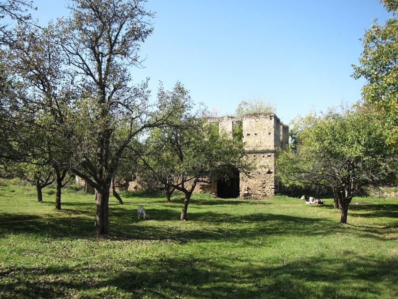 Чернелицький замок, Чернелиця