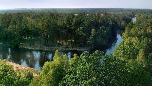  Канівський природний заповідник, Канів 