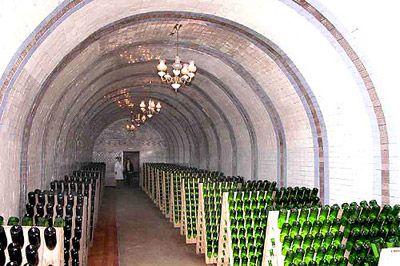 Музей історії виноробства