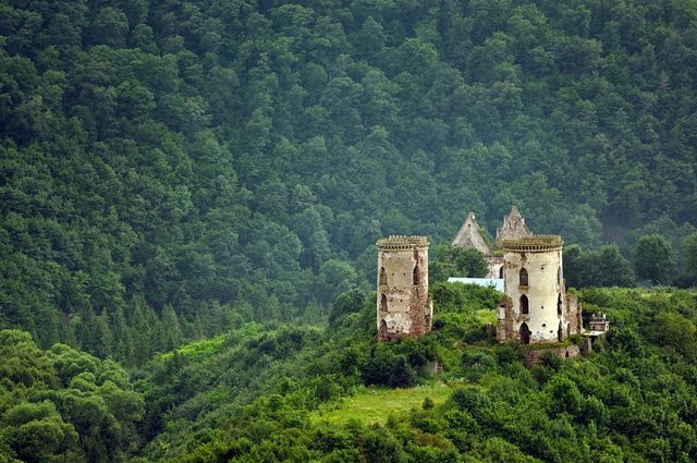  Chervonograd Castle, Nyrkov 