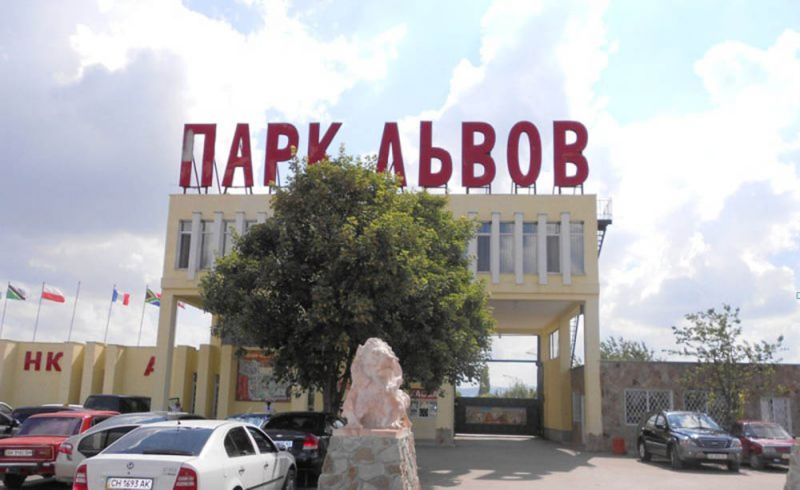 The lion's park