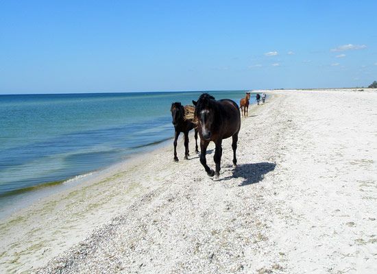 Острів Джарилгач