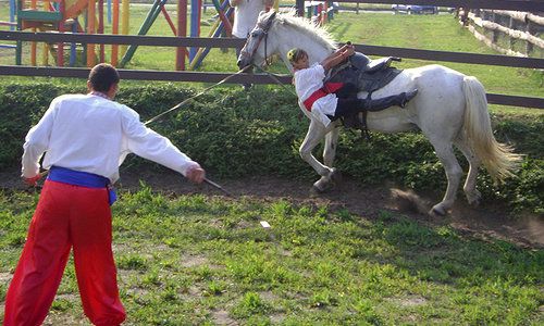 Козацька сотня, Петриківка