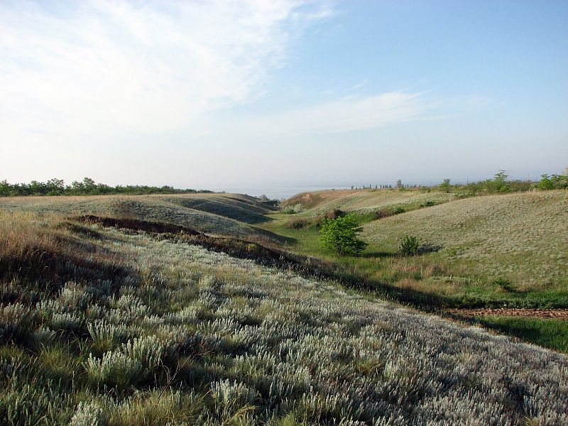 Софіївський заказник, Софіївка