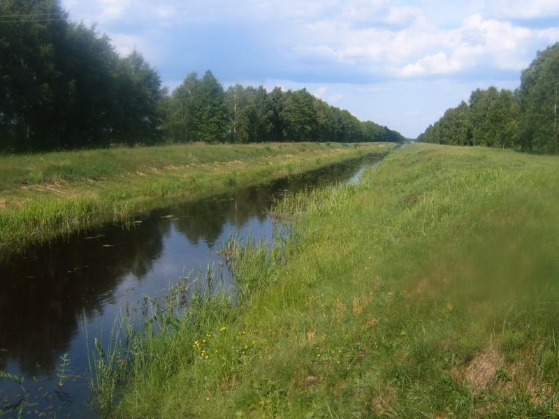 Ландшафтный заказник Згоранские озера