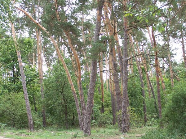 Национальный природный парк Кармелюково Подолье
