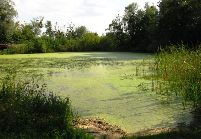  Озеро Чорне, Сміла 