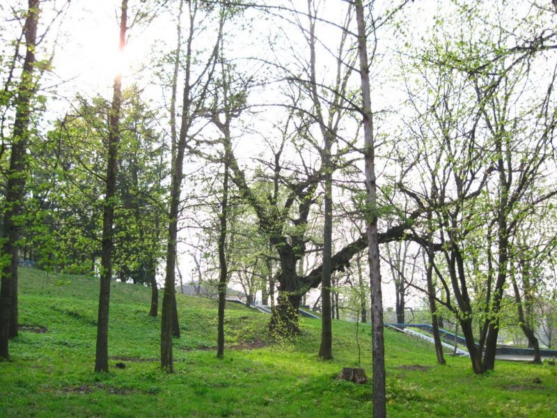 Гороховский парк